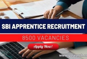 sbi apprentice recruitment 2021