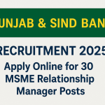 Punjab and Sind Bank MSME RM Recruitment 2025